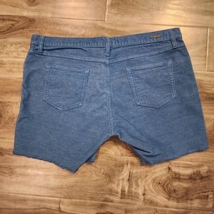 Carve Designs Oahu Shorts
